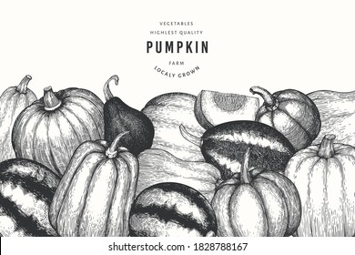 Pumpkin design template. Vector hand drawn illustrations. Thanksgiving backdrop in retro style with pumpkin harvest. Autumn background.