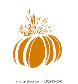 Pumpkin digital illustration for your design