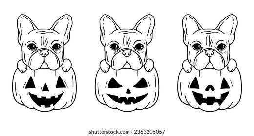 Pumpkin Dog. Happy Halloween French bulldog. Love dogs. Fall, autumn, Thanksgiving, Halloween element for design. Isolated on white background.Good for posters, t shirts, postcards.