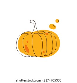 Pumpkin doodle art. Autumn vegetable. Orange pumpkin with a dark line illustration on a white background.