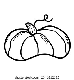 Pumpkin. Doodle. Hand drawing. Vector illustration in modern style. Festive pumpkin. Autumn vegetable.