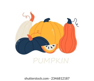 Pumpkin. Doodle. Hand drawing. Vector illustration in modern style. Festive pumpkin. Autumn vegetable.