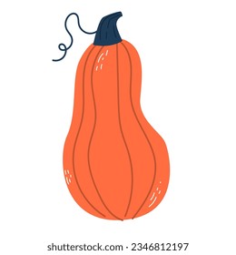 Pumpkin. Doodle. Hand drawing. Vector illustration in modern style. Festive pumpkin. Autumn vegetable.