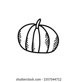 pumpkin doodle icon, vector illustration