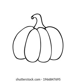 Pumpkin doodle illustration. Vector hand drawn halloween and autumn element.