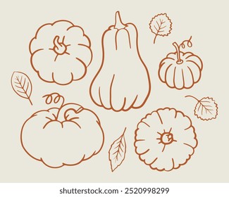 Pumpkin doodle isolated illustration set. Autumn hand drawn one color sketch. Cute collection of fall line art elements. Halloween or harvest design.