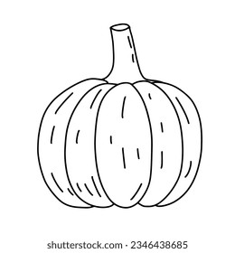 Pumpkin doodle line art. Coloring page element. Harvest Thanksgiving autumn fall. Teaching materials, coloring page element.