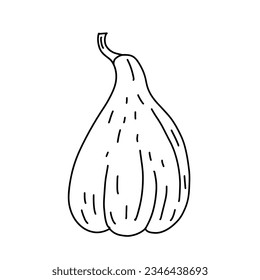 Pumpkin doodle line art. Coloring page element. Harvest Thanksgiving autumn fall. Teaching materials, coloring page element.