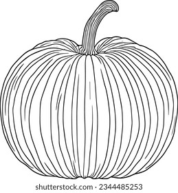 pumpkin doodle line art, line drawing