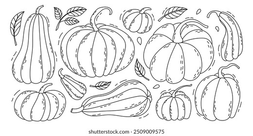 Juego de Doodle de calabaza. Calabazas de otoño dibujadas a mano. Elementos de diseño de cosecha de otoño. Calabaza dibujada a mano.