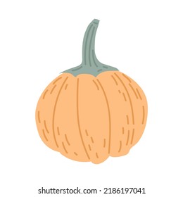 Pumpkin Doodle style Cozy autumn. Flat vector illustration