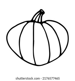 Pumpkin doodle style hand drawn vector illustration isolated on white background