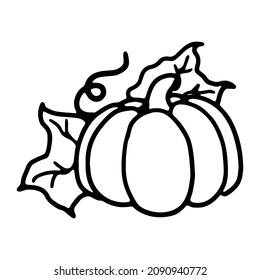 Pumpkin in doodle style. Isolated vector.