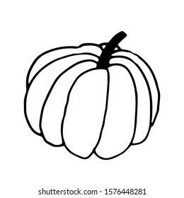 Pumpkin in doodle style on isolated white background. Thanksgiving Day, Halloween pumpkin icon. Vector autumn illustration. Decoration element. Vegetarian product. Black outline hand drawn.