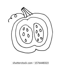 Pumpkin in doodle style on isolated white background. Thanksgiving Day, Halloween pumpkin icon. Vector autumn illustration. Decoration element. Vegetarian product. Black outline hand drawn.