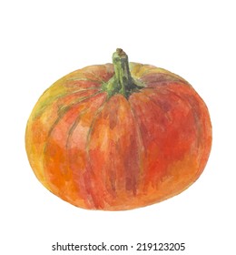 Pumpkin draw with watercolors on white background