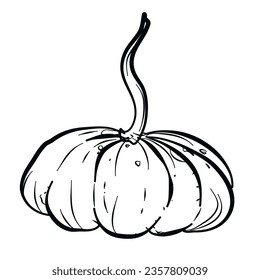 pumpkin drawing doodle freehand vector illustration  coloring book  coloring page