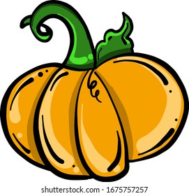 Pumpkin drawing, illustration, vector on white background.