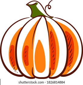 Dibujo de calabaza, ilustración, vector sobre fondo blanco
