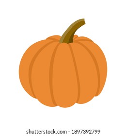 Pumpkin Drawing On White Background, Vector Illustration