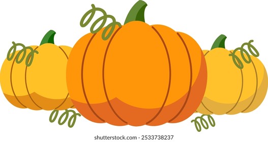 Pumpkin drawings vector set, fall concept, spiral leaves with pumpkins isolated on a white background, multiple colorful hand drawn pumpkins.
pumpkin flat design vector art illustration.
