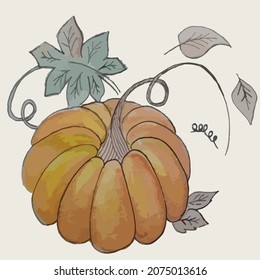 Pumpkin drawn harvest autumn leaves