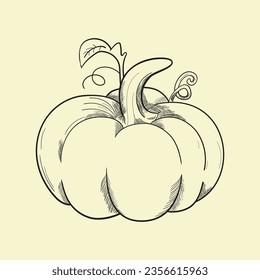 a Pumpkin drwaing design vector sketch on the flat background