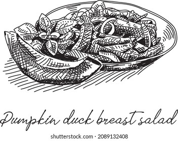 Pumpkin duck breast salad. Sketchy hand-drawn illustration.