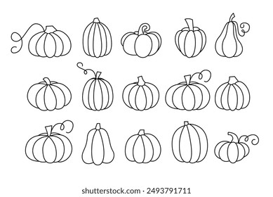 Pumpkin Editable Stroke Vector Collection. Hand Drawn Doodle Squash Set.