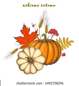 Pumpkin and fall leaves bouquet. Thanksgiving design template. Hello autumn illustration. Harvest festival. Hand drawn frame with fall leaves, pumpkin. Vector illustration