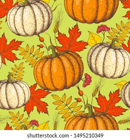 Pumpkin and fall leaves seamless pattern. Hand drawn background. Colorful vector illustration. Cute design with fall leaves and pumpkin.