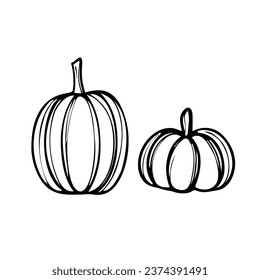 Pumpkin fall white colour design
