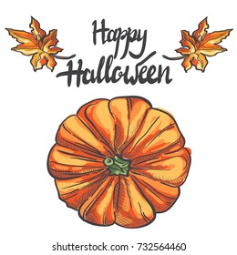 Pumpkin and fall yellow leaves vector illustration.Halloween design elements with Happy Halloween lettering