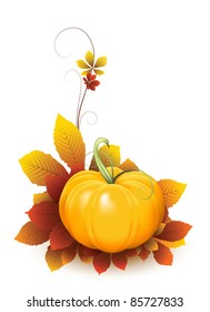 Pumpkin and falling autumn leaves, elements for your design. Fruit and vegetable collection. Raster version available in my portfolio
