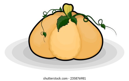 Pumpkin Farming