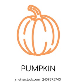 Pumpkin fat line vegetable icon, vector illustration