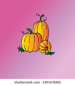 Pumpkin. Festive attribute. Crop. Orange product
