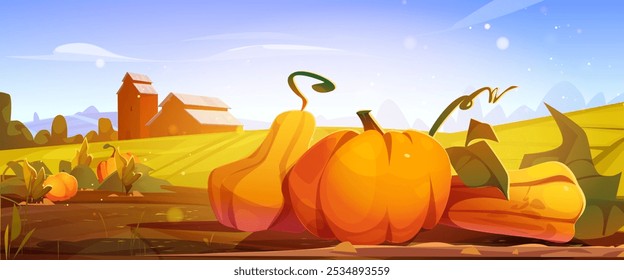 Pumpkin field with wooden barn. Vector cartoon illustration of rural vegetable garden with autumn harvest on ground, countryside ranch farmhouse, sunlight flare in air, blue sky, Thanksgiving Day card