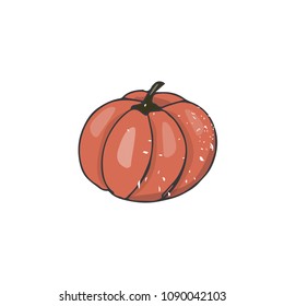 Pumpkin figure clip art illustration drawing shabby style geometric element color texture garden veg red orange fruit earthen vegetable oak halloween holiday autumn similar white background