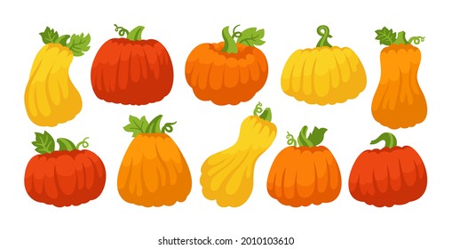 Juego de caricaturas de calabaza plana. Otoño varias calabazas completas maduras. Colección de símbolos del festival de Halloween o el Día de Acción de Gracias. Vegetación roja naranja de ícono vegetal dibujado a mano