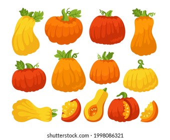 Kürbis-Cartoon-Set. Orangefarbener Herbst verschiedene Kürbisse, ganz oder in Scheiben. Halloween oder Thanksgiving Festival Symbol Erntekollektion. Landwirtschaftliche handgezeichnete pflanzliche Ikone bunter Vektorgrafik