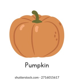 Ilustración vectorial plana de la historieta de la calabaza aislada en el fondo blanco