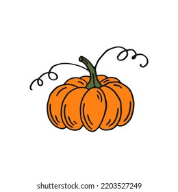 Pumpkin. Flat color icon. Thanksgiving design. Autumn pumpkin.