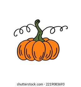 Pumpkin. Flat color icon. Thanksgiving design. Autumn pumpkin.