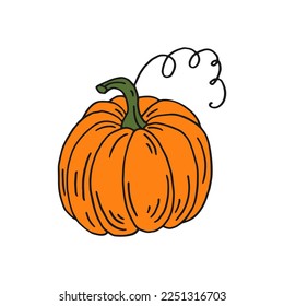 Pumpkin. Flat color icon. Thanksgiving design. Autumn pumpkin.