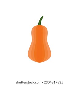 pumpkin flat design vector illustration isolated on white background