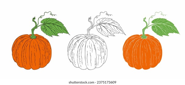 Pumpkin, Flat Design. Vector illustration