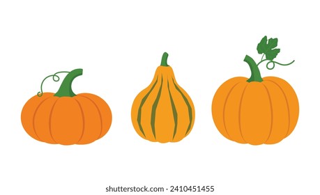 Pumpkin flat icon set. Vector illustration Pumpkin on white background. Fresh Vegetable, Vegetarian, vegan Healthy organic food. Sign kit of halloween.