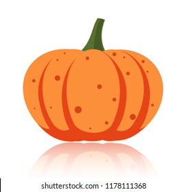 Pumpkin flat icon. Sign of halloween. Thanksgiving pictogram collection fall farm harvest, closeup squash, vegetable. Simple pumpkin cartoon colorful icon symbol isolated on white. Vector Illustration