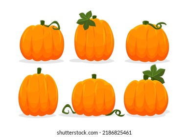 Pumpkin flat icons set. Sign kit of halloween. Thanksgiving pictogram collection farm harvest, closeup squash, vegetable. Simple pumpkin cartoon colorful icon symbol isolated white Vector Illustration